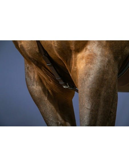 Collier de chasse à pont New English Collection DY'ON