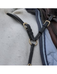 Collier de Chasse Anatomique DY'ON Collection 2