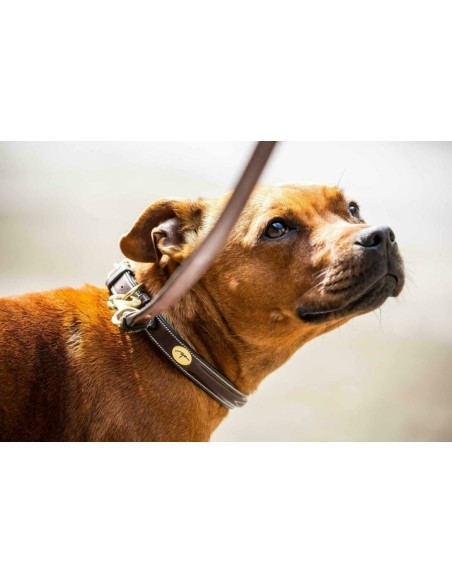 Collier pour chien bombé DY'ON