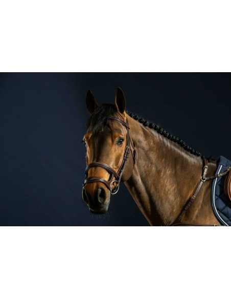 Double muserolle DY'ON Collection