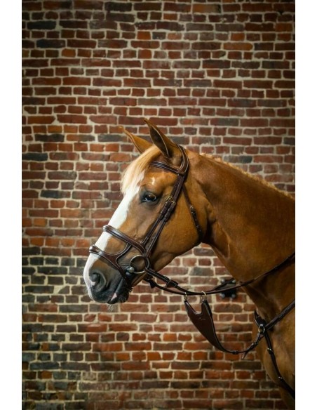 Double muserolle DY'ON Collection