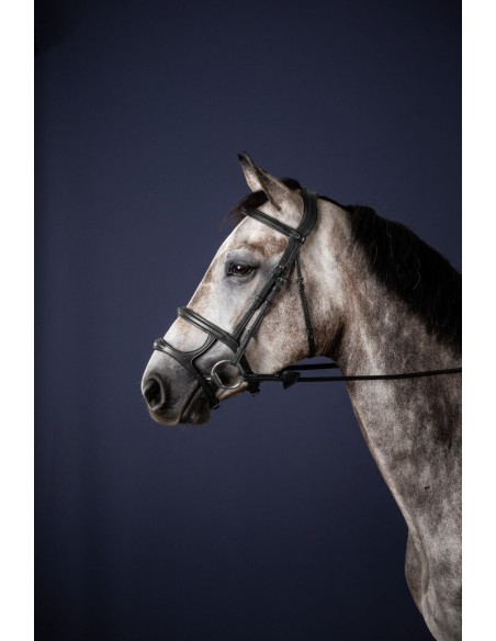 Double muserolle New English Collection DY'ON