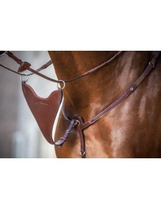 Fourche de martingale pleine New English Collection Dy'on 2