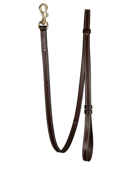 Laisse ajustable pour chien DY'ON