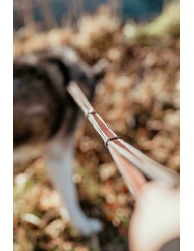 Laisse ajustable pour chien DY'ON