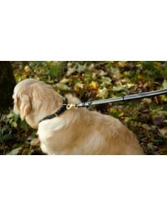 Laisse ajustable pour chien DY'ON