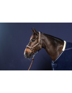 Licol NUBUCK Dy'on 2