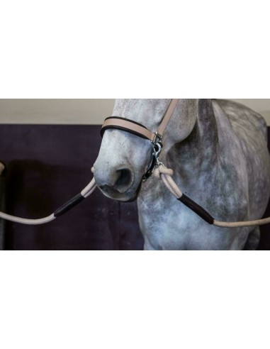 Longe à mousqueton amovible La Cense Dy'on