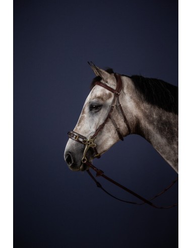 Montants de Hackamore English Collection DY'ON