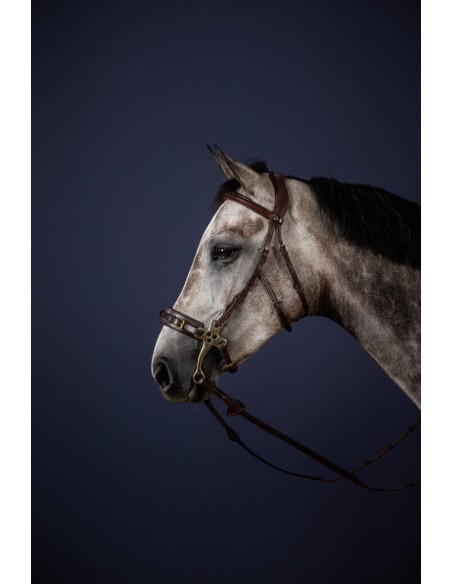 Montants de Hackamore English Collection DY'ON