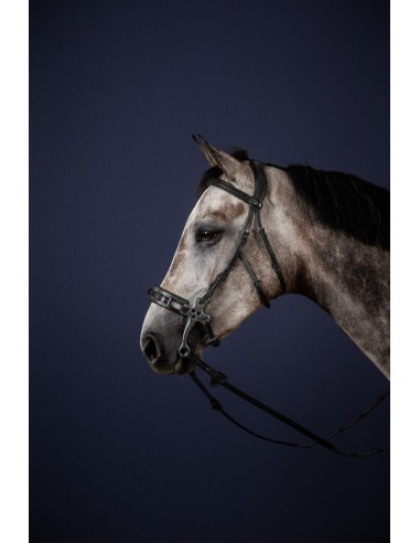 Montants de Hackamore English Collection DY'ON