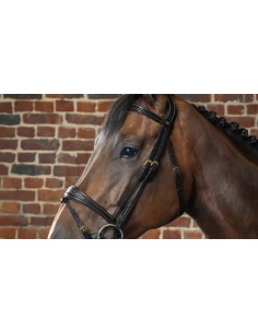 Montants de mors D Collection Dy'on