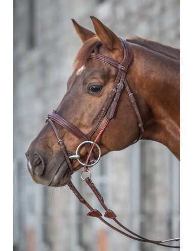 Montants de releveur cordes New English Collection Dy'on