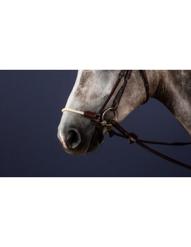 Muserolle Allemande Corde New English Collection DY'ON