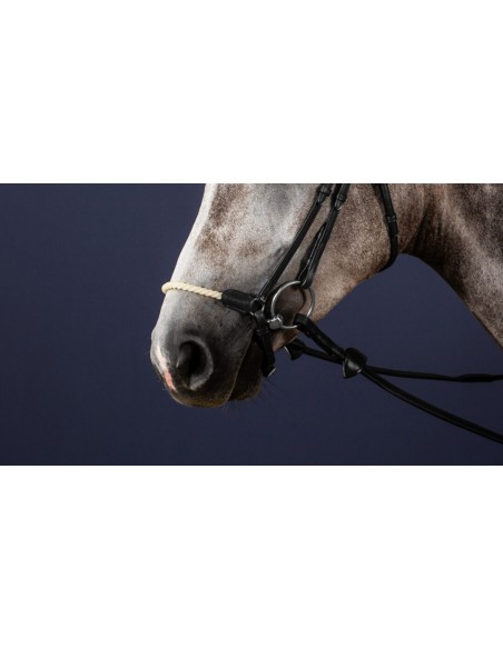 Muserolle Allemande Corde New English Collection DY'ON