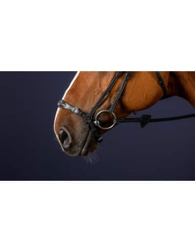 Muserolle allemande Pull Back New English DY'ON