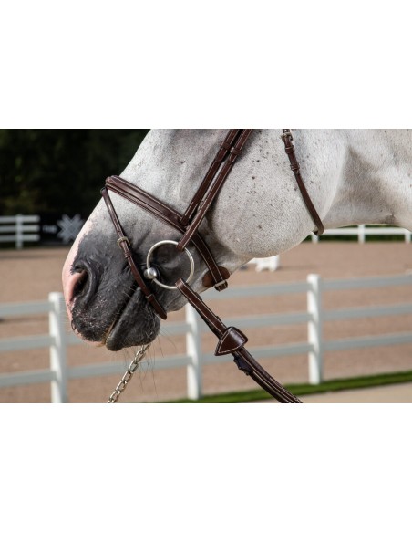 Muserolle Combinée Hunter Collection DY'ON