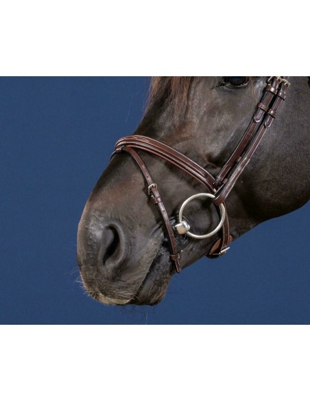 Muserolle Combinée Hunter Collection DY'ON