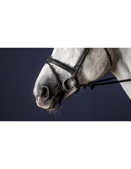 Muserolle combinée New English Collection DY'ON