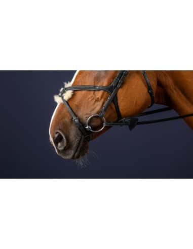 Muserolle croisée New English DY'ON