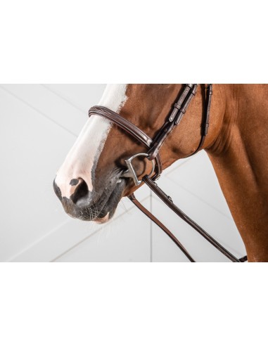 Muserolle Française Hunter Collection DY'ON