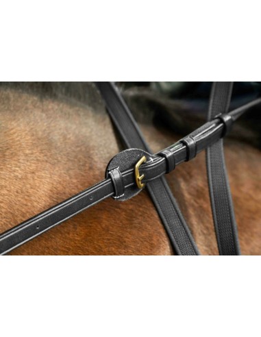 Rênes ajustables Gilles Bertrand DY'ON