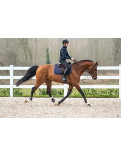 Rênes Allemandes cuir DY'ON Collection