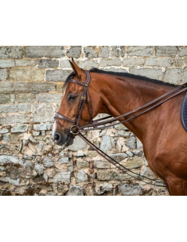 Rênes Allemandes cuir DY'ON Collection