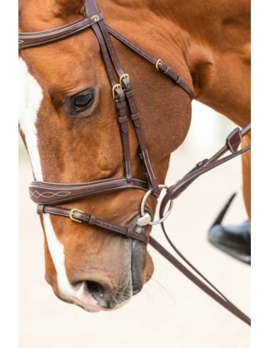 Rênes Allemandes cuir DY'ON Collection