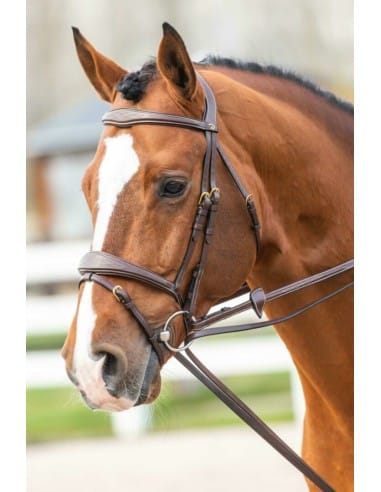 Rênes Allemandes cuir DY'ON Collection