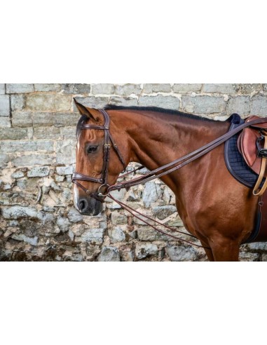 Rênes Allemandes cuir/nylon collection DY'ON