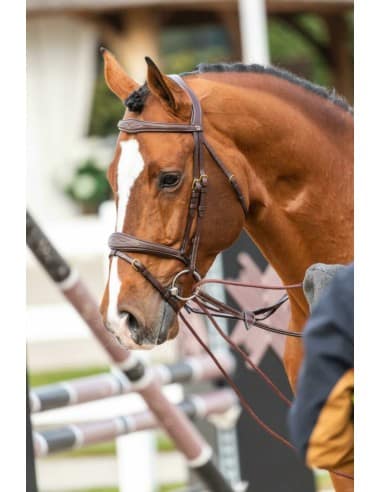 Rênes Allemandes cuir/nylon collection DY'ON