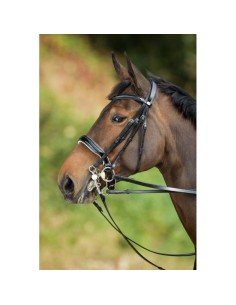 Bride de dressage WEYMOUTH HFI 2