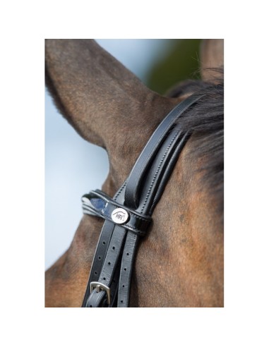 Bride de dressage WEYMOUTH HFI