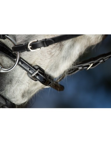 Bridon à strass SPARKLY HFI