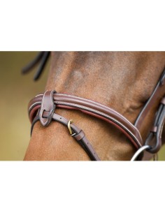 Bridon ANATOMIC HFI 2