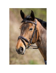 Bridon ELEGANT HFI