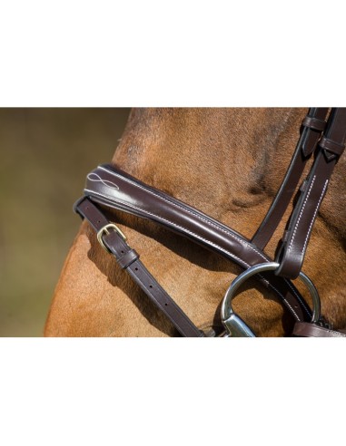 Bridon ELEGANT HFI