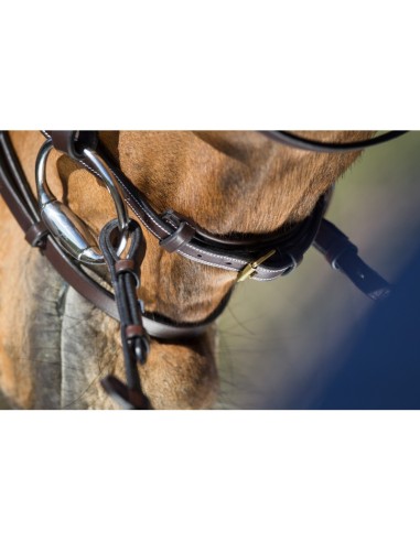 Bridon ELEGANT HFI