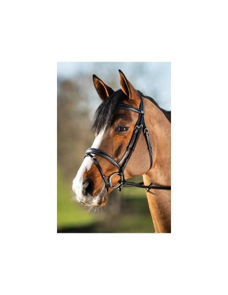 Bridon ELEGANT HFI