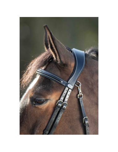 Bridon FUNCTIONAL HFI