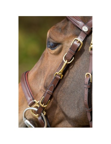 Bridon Licol COMBO HFI