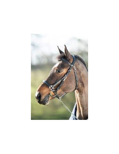 Bridon Licol COMBO HFI