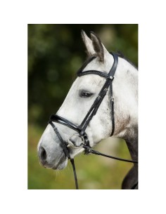 Bridon LUXE HFI