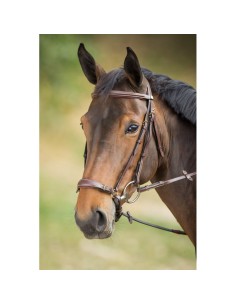 Bridon Muserolle allemande GERMAN HFI