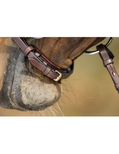 Bridon Muserolle allemande GERMAN HFI