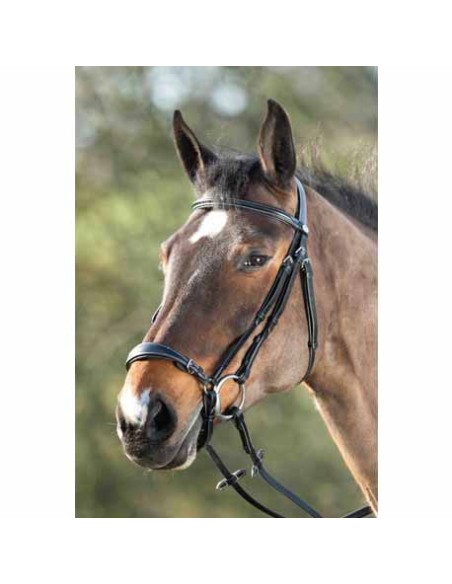 Bridon Muserolle allemande GERMAN HFI