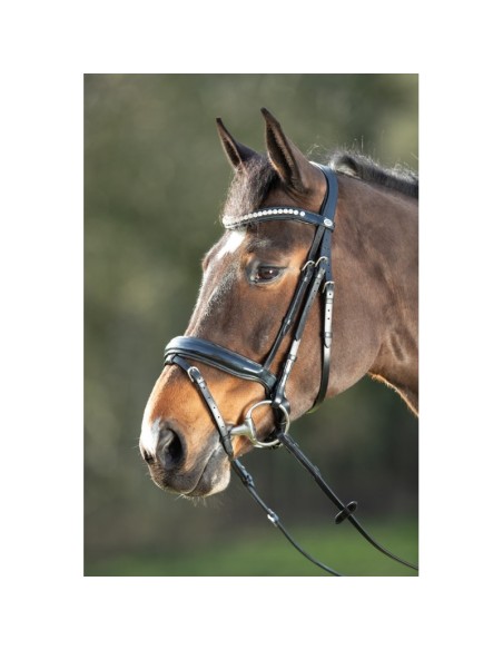 Bridon vernis SHINY BRIDLE HFI