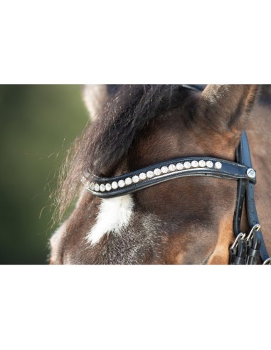 Bridon vernis SHINY BRIDLE HFI