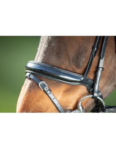 Bridon vernis SHINY BRIDLE HFI